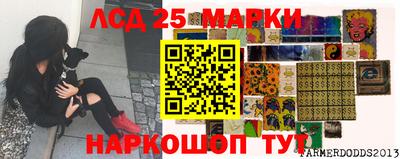 кокс Шебекино