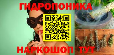СК Шахты