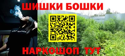 винт Шелехов