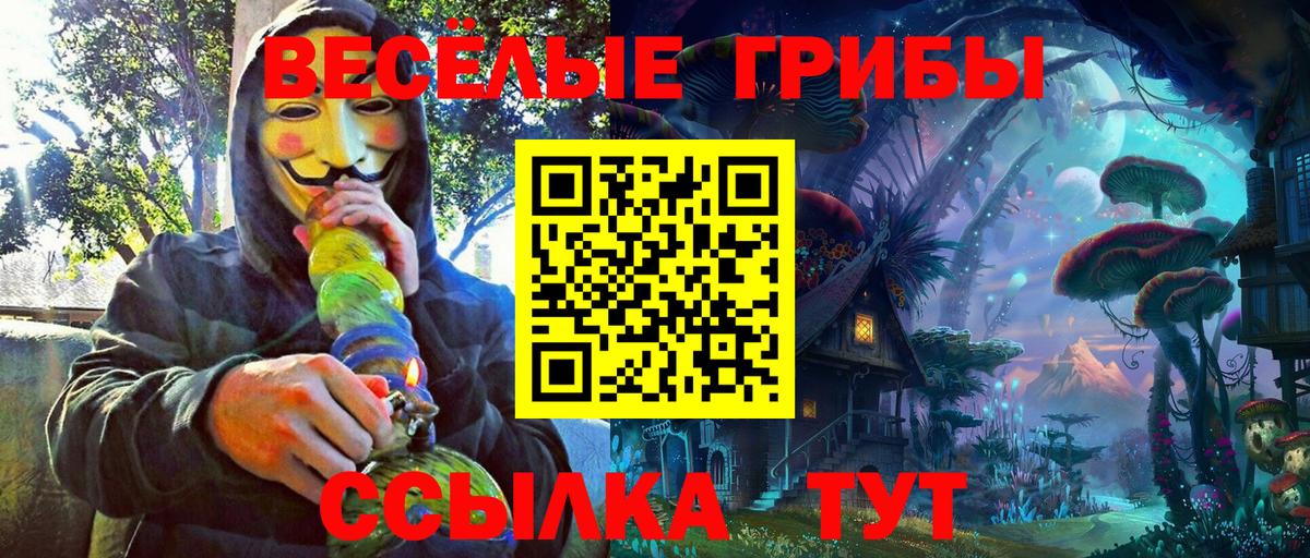 Галлюциногенные грибы Cubensis Балашиха