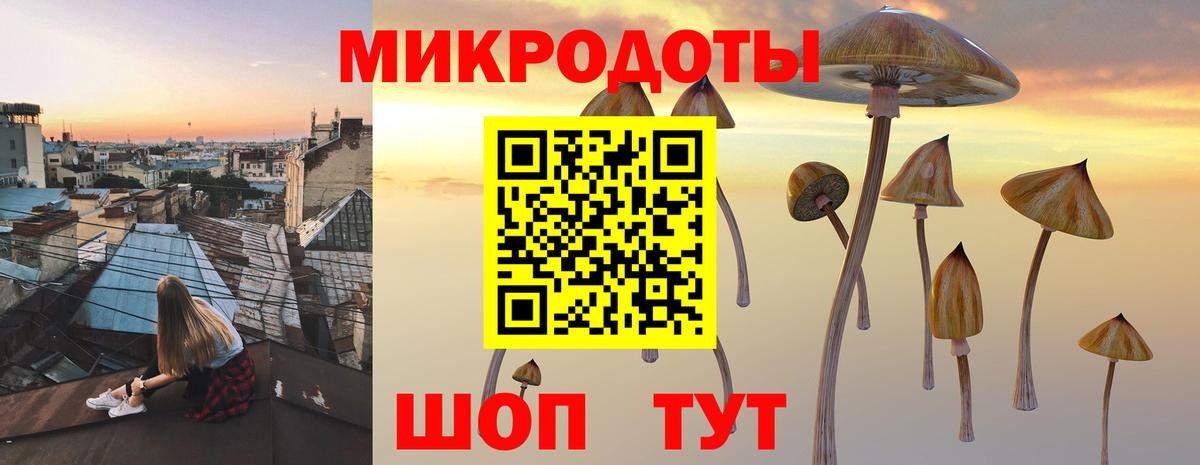 Псилоцибиновые грибы Psilocybe  Вход с VPN  что такое   Балашиха 
